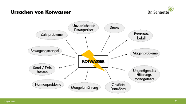 Ursachen von Kotwasser